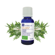 He Cyprès 10ml