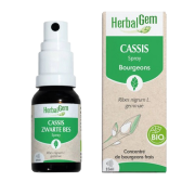 Cassis spray 15ml