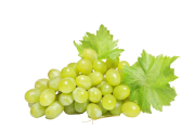 Raisin blanc sans pépin (environ 300gr)