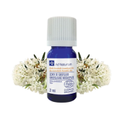 He Lédon du Groeland 2ml