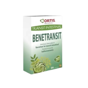 Benetransit 54 cp