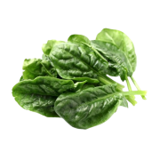 Épinard bio 200gr