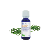 He Eucalyptus globulus 30ml