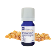 He Encens Oliban 5ml