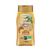 Sirop d'agave 250ml