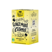Infusion gingembre citron x16