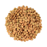 Lentilles corail vrac 500 gr