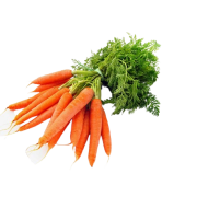 Carottes botte