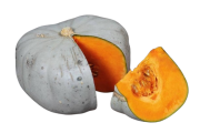Courge bleue de Hongrie pièce