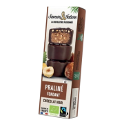 Rocher Prâliné Noisette 3x15gr