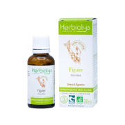 Figuier gemmo sans alcool 30ml