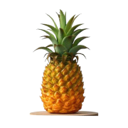 Ananas bio /pièce