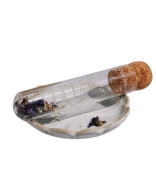Infuseur transparent en verre