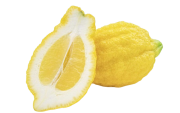 Citron cédrat (1 environ 500g)