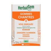 Gommes chantres x24