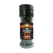 Poivre noir en grain Inde moulin 45gr