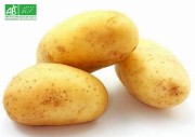 Pomme de terre bio filet  2.5 kg