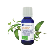 He Eucalyptus citronne 10ml