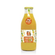 Pur jus Ananas pressé Bio