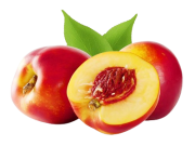 Lot de 3 nectarines