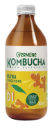Kombucha ultra gingembre