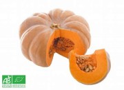 Courge Muscade bio /pièce