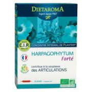 Harpagophytum forté 20x10ml