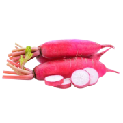 Radis rouge de Chine (1 environ 300gr)