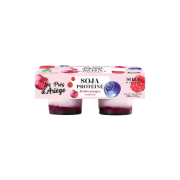 Soja protéine fruits rouges 2x125g