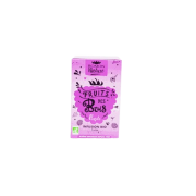 Infusion Plaisir Fruits de bois x16