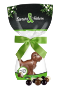 Dinosaure chocolat au lait 100g