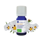 He Ciste ladanifère 5ml