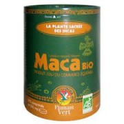 La plante sacrée des Incas Maca x340