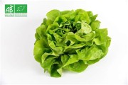 Salade bio /pièce