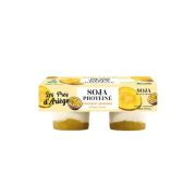 Soja protéine mangue passion 2x125g