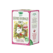 Tisane Défenses hivernales x20