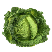 Chou Vert frisé bio /pièce