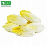 lot de 4 Endives bio environ 500gr