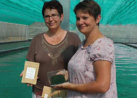Spiruline du bocage