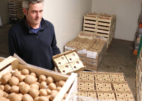 Champi Bio Saumurois