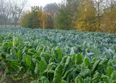 La ferme des deux rivières