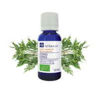 He Cyprès 10ml