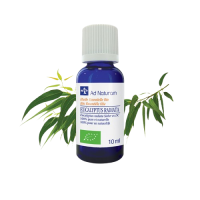 He Eucalyptus radiata 10l