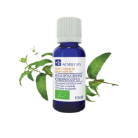 He Eucalyptus citronne 10ml