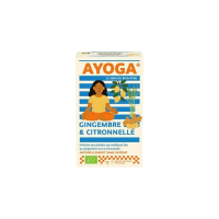Infusion gingembre et citronnelle x17