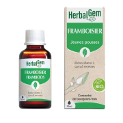 Framboisier 30ml